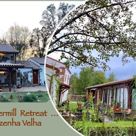 The Old Watermill Retreat - O Retiro Da Azenha Velha Apartman Vila Nova de Poiares Kültér fotó