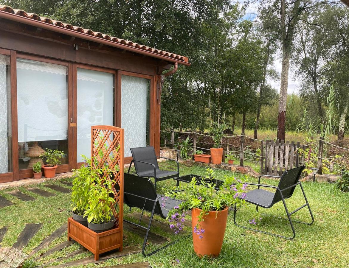 The Old Watermill Retreat - O Retiro Da Azenha Velha Apartman Vila Nova de Poiares Kültér fotó