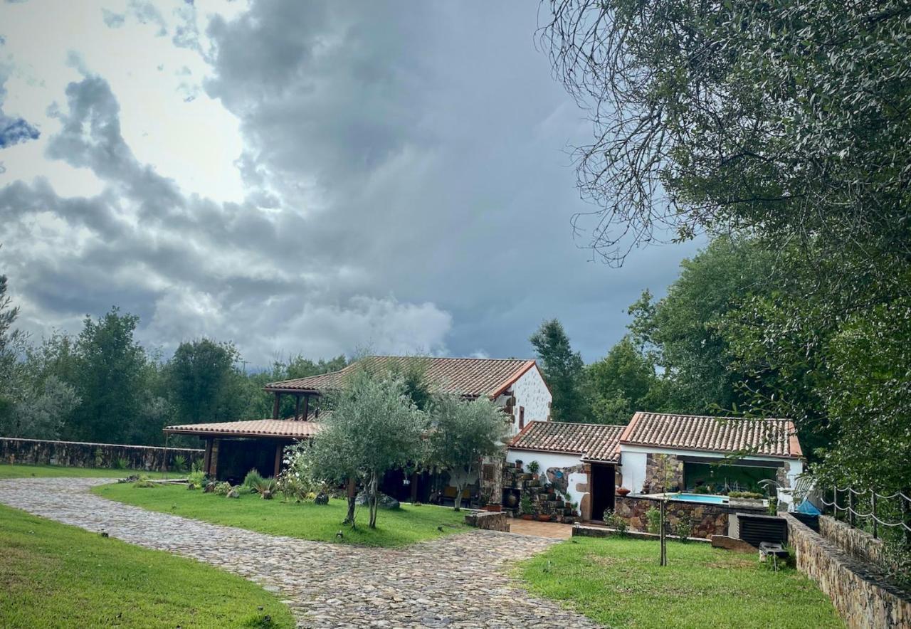 The Old Watermill Retreat - O Retiro Da Azenha Velha Apartman Vila Nova de Poiares Kültér fotó