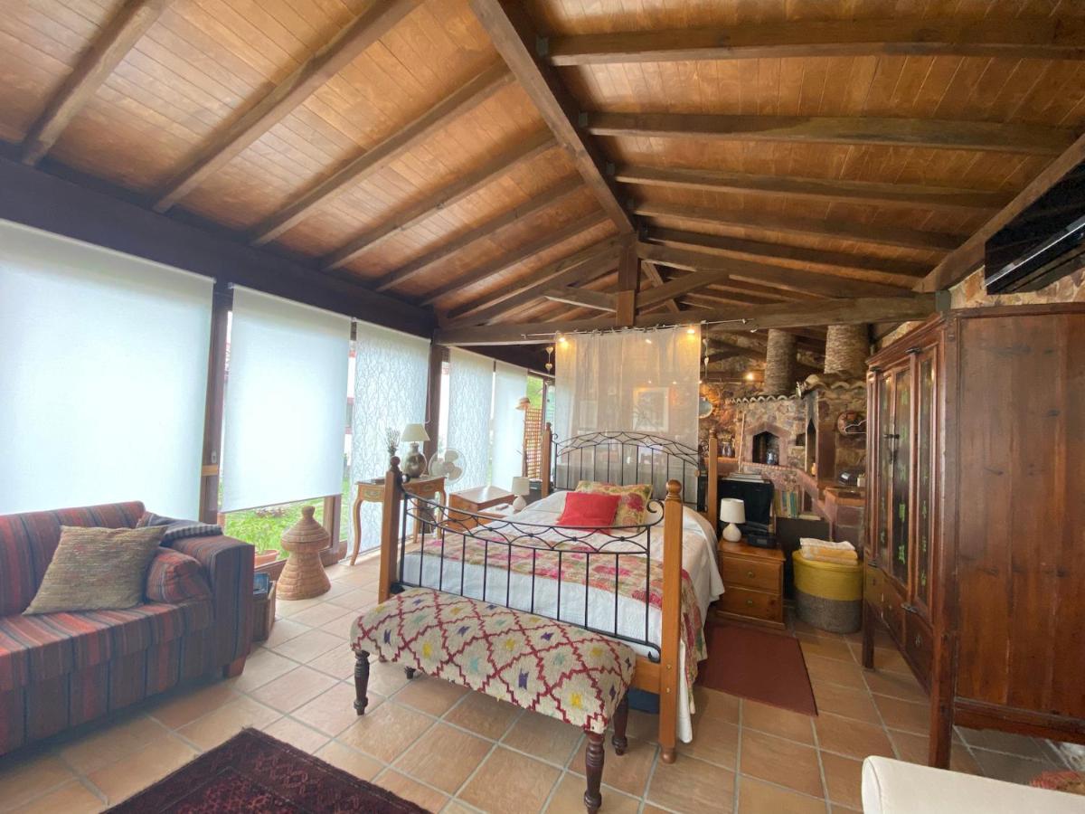 The Old Watermill Retreat - O Retiro Da Azenha Velha Apartman Vila Nova de Poiares Kültér fotó
