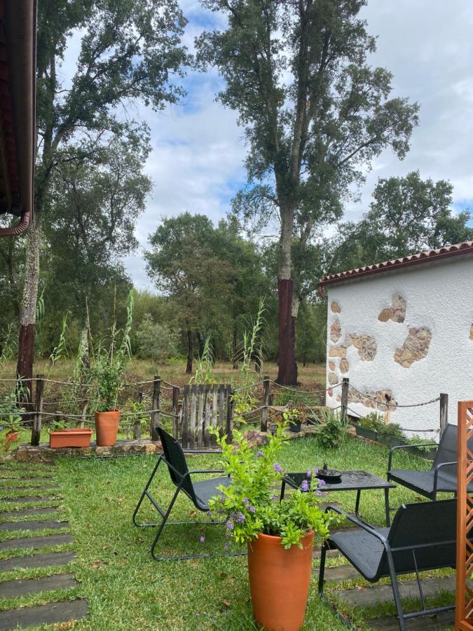 The Old Watermill Retreat - O Retiro Da Azenha Velha Apartman Vila Nova de Poiares Kültér fotó